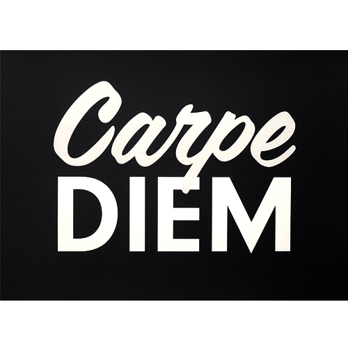 Carpe Diem(screen print)50x70cm [수입정품 북유럽 모던 인테리어 미니멀 포스터 액자 영국]